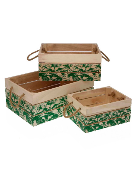 Set 3 Cajas Hojas