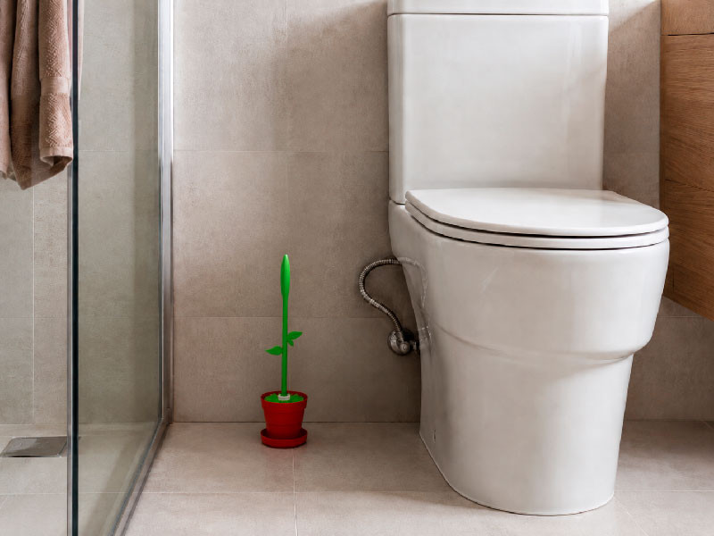 Escobilla de baño decorativa colocada en baño