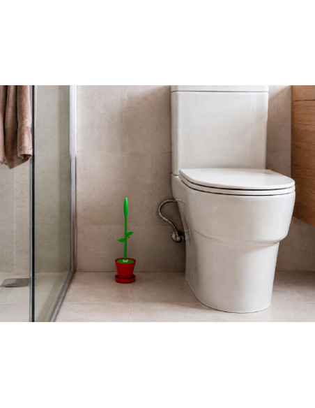 Escobilla de baño decorativa colocada en baño