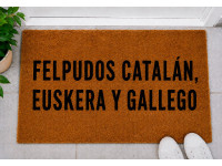 Euskera, Catalán y Gallego